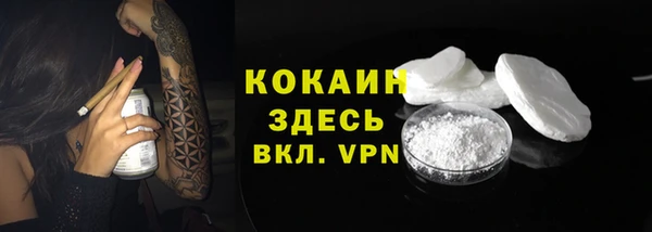 тгк Богданович
